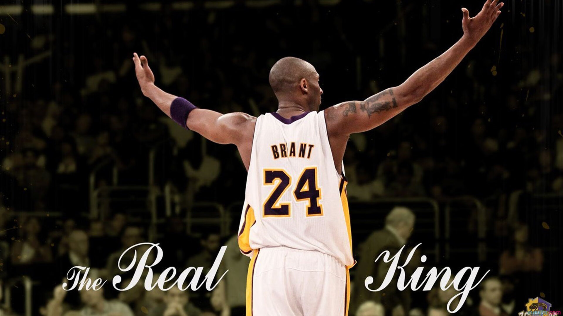 新王登基，皮亚斯特里率索伯车队完胜梅赛德斯，F1格局迎来历史性转折